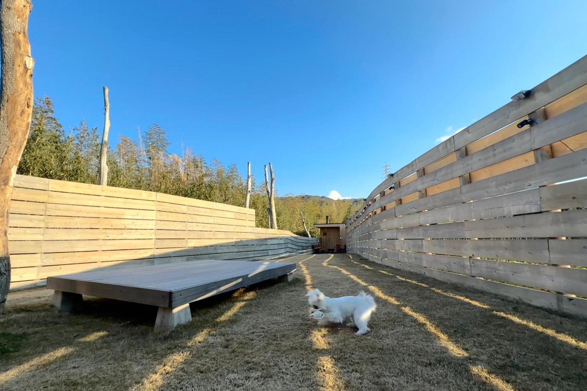 サウナとドッグラン付きのアンティーク古民家宿 Akiya Cornerstone Awaji Ngoại thất bức ảnh